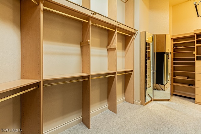 spacious closet with carpet flooring