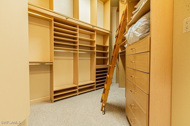 spacious closet with light carpet