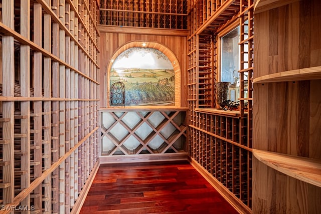 wine cellar featuring dark hardwood / wood-style floors