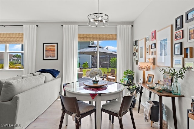 dining room featuring a notable chandelier and light hardwood / wood-style flooring