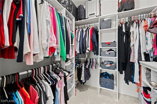 walk in closet featuring carpet