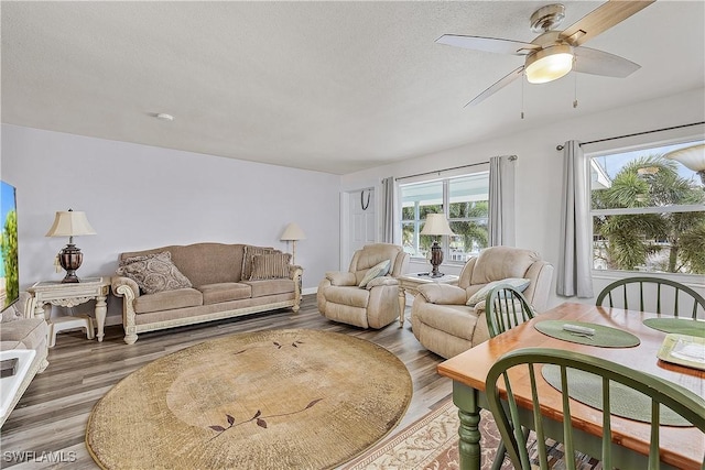 living room featuring ceiling fan, hardwood / wood-style floors, and a textured ceiling