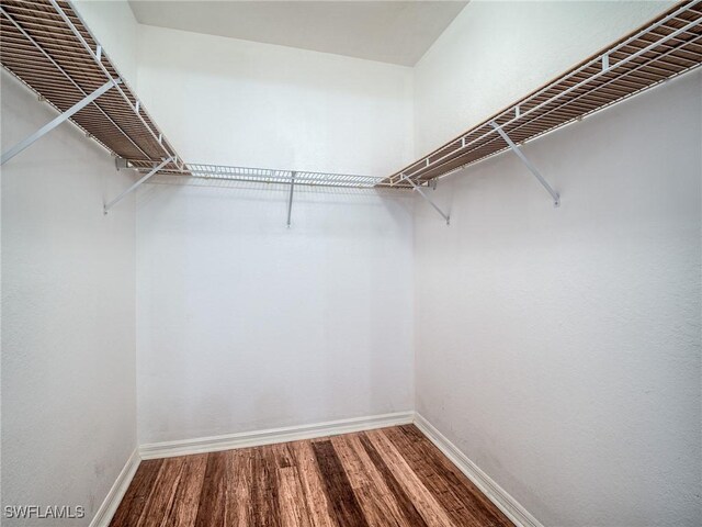 walk in closet with hardwood / wood-style floors