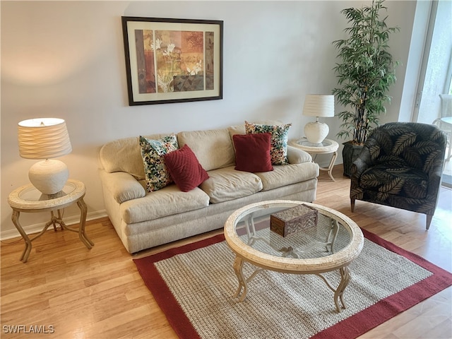 living room with hardwood / wood-style floors