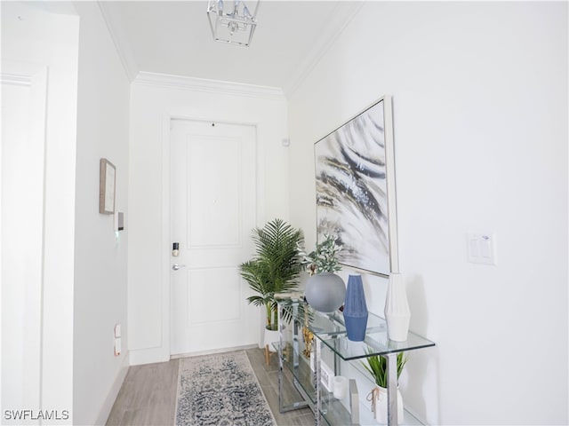 interior space with light hardwood / wood-style flooring and crown molding