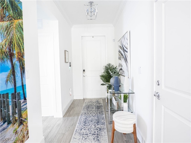 foyer entrance with light hardwood / wood-style flooring and ornamental molding