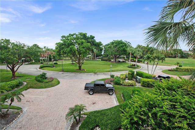 view of property's community featuring a lawn