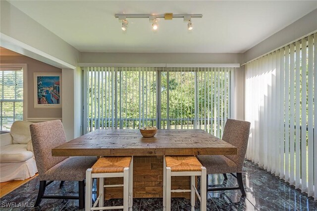 dining room with plenty of natural light