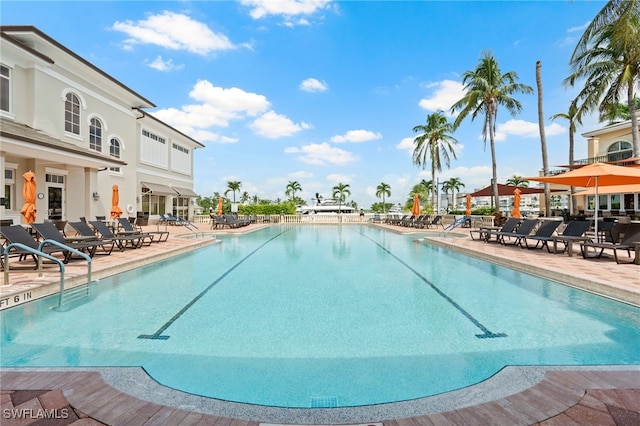 view of swimming pool featuring a patio area