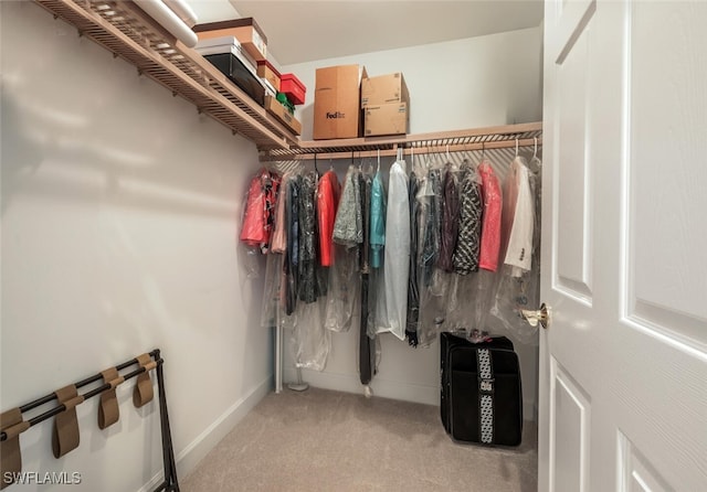 spacious closet with carpet flooring