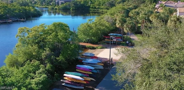 drone / aerial view with a water view