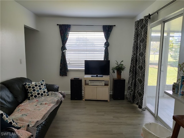 living room featuring light wood-type flooring