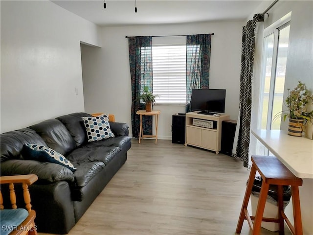 living room with light wood-type flooring