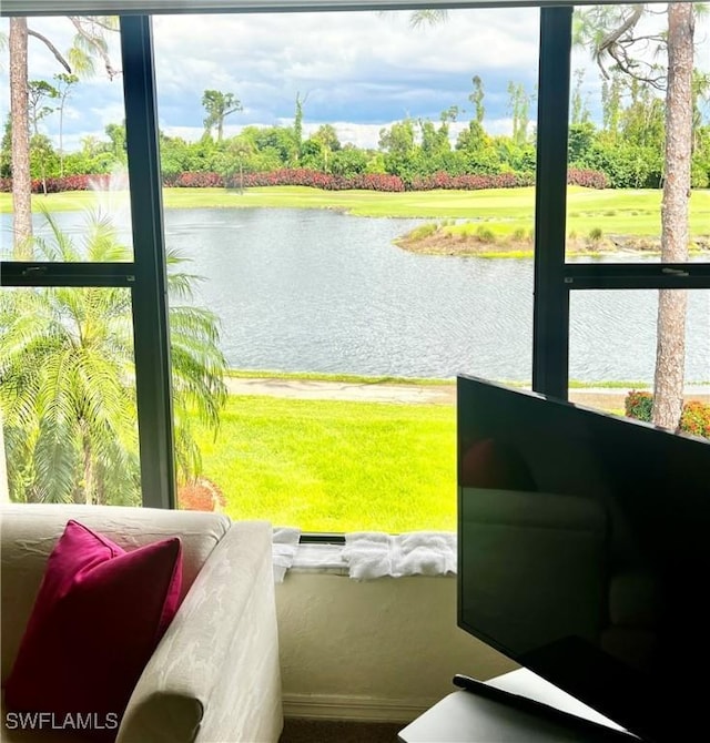5925 Trailwinds Dr Unit 926, Fort Myers, FL 33907 - water view featuring a tree filled landscape