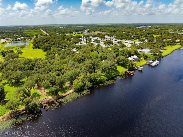 bird's eye view featuring a water view