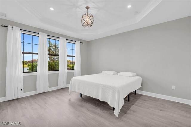 bedroom featuring light hardwood / wood-style floors and a raised ceiling