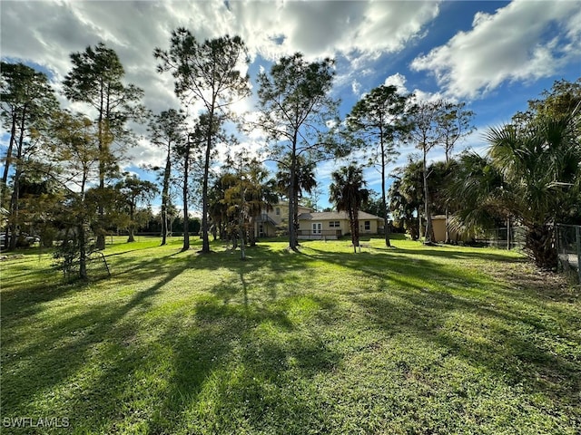 view of yard