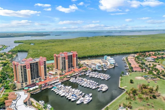 aerial view with a water view