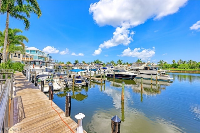 dock area featuring a water view