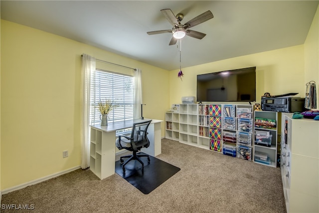 office space featuring ceiling fan and carpet flooring