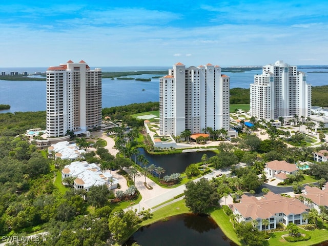 aerial view with a water view