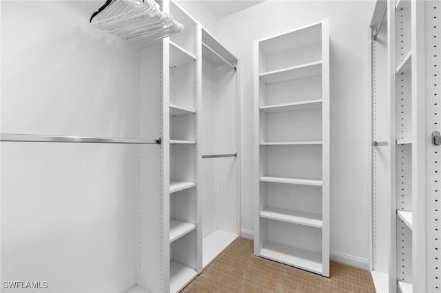 spacious closet featuring light carpet