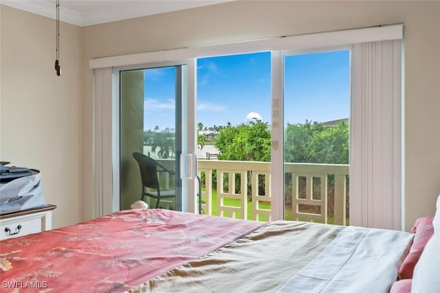 bedroom featuring ornamental molding and multiple windows