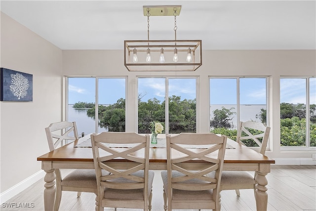 dining area featuring light hardwood / wood-style floors and plenty of natural light