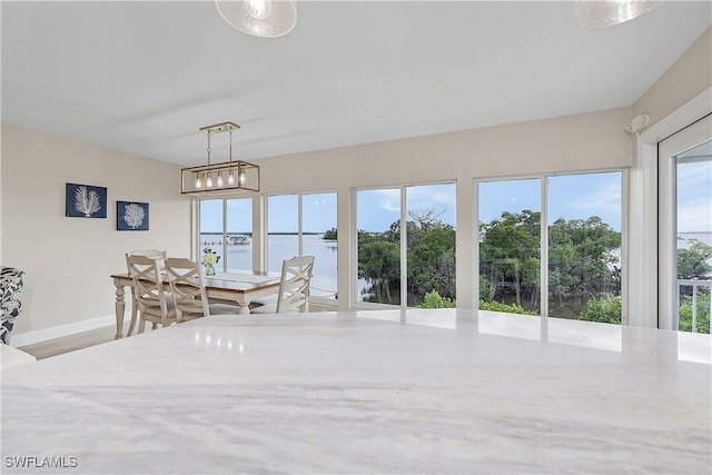 dining room with wood-type flooring, a water view, and plenty of natural light