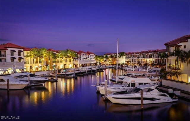 dock area with a water view