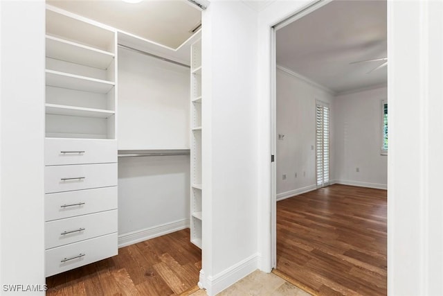 walk in closet featuring wood finished floors and a ceiling fan