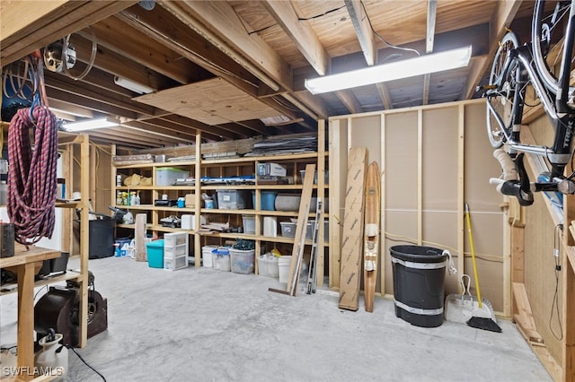 10610 Habitat Trl, Bokeelia, FL 33922 - view of unfinished below grade area