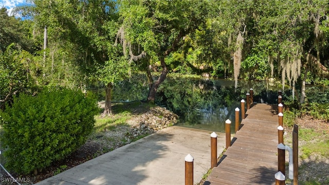 dock area with a water view