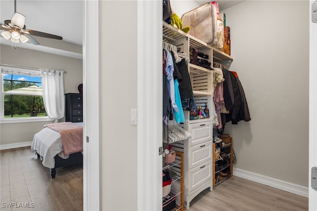 walk in closet with light wood-type flooring and ceiling fan