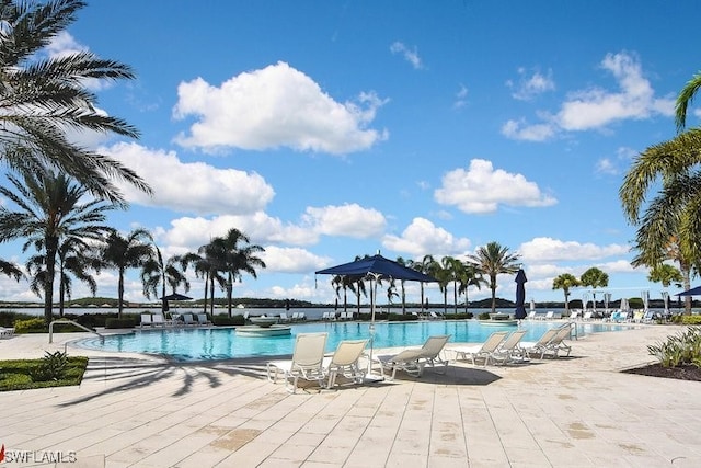 view of swimming pool with a patio area