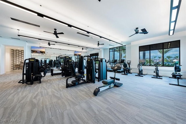 gym featuring ceiling fan and carpet