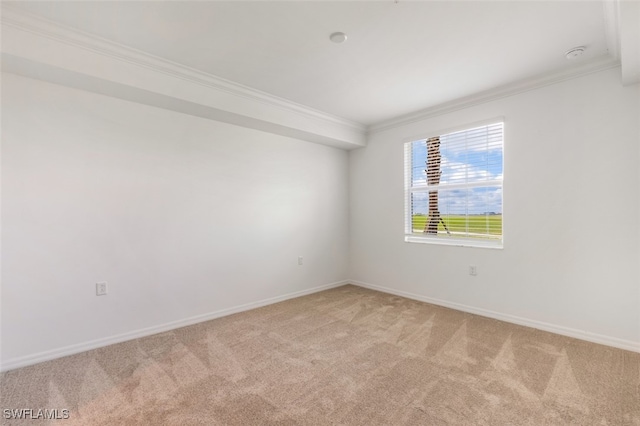 carpeted empty room featuring ornamental molding