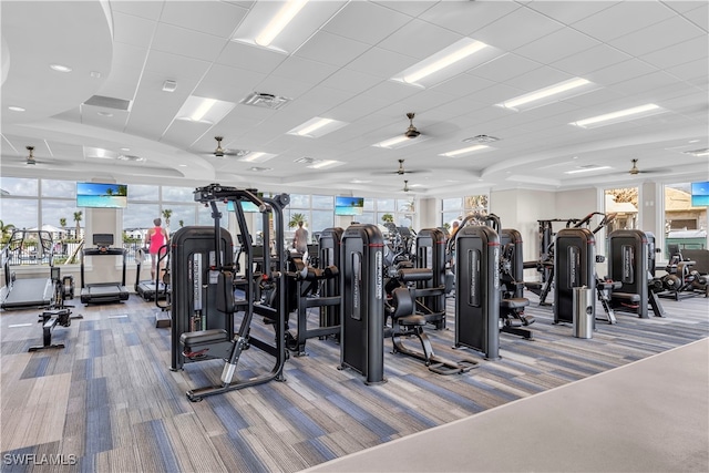 workout area with carpet, ceiling fan, and a paneled ceiling