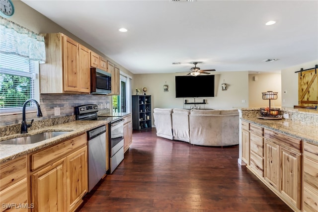 kitchen featuring sink, a barn door, light brown cabinets, appliances with stainless steel finishes, and dark hardwood / wood-style flooring