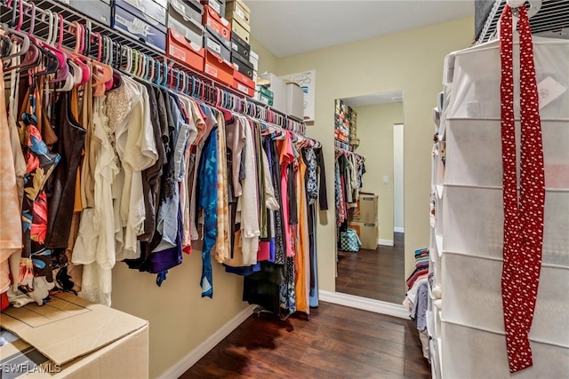 spacious closet featuring dark hardwood / wood-style flooring