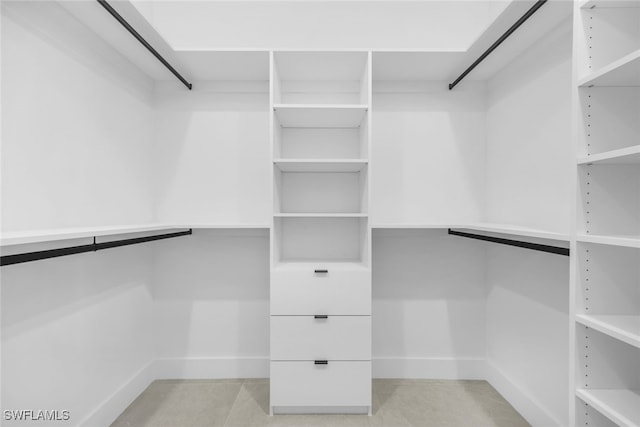 view of walk in closet