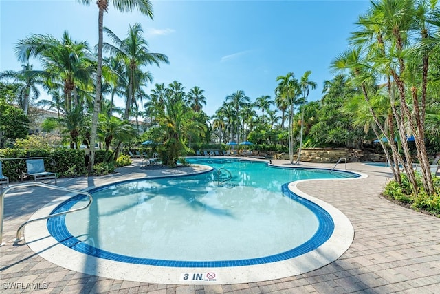 view of pool featuring a patio area