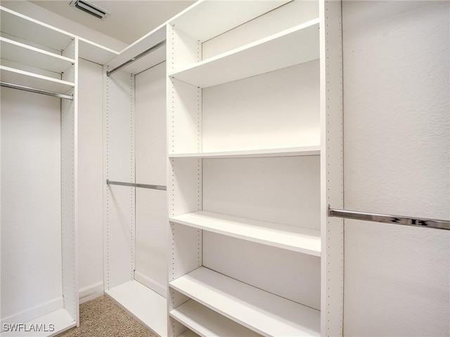 spacious closet with carpet