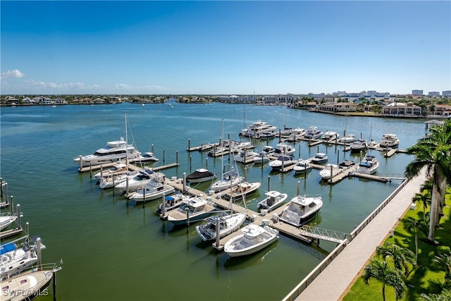 drone / aerial view with a water view