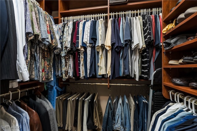 view of walk in closet