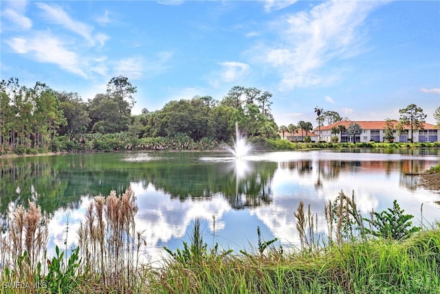 property view of water