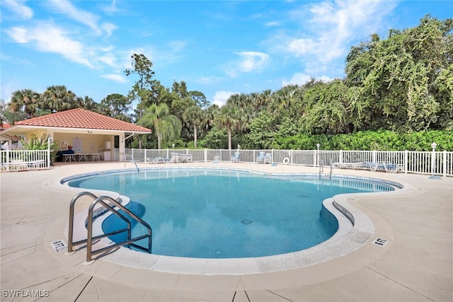 view of swimming pool with a patio area