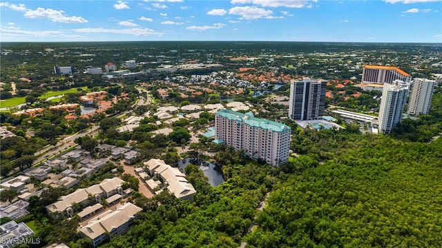 bird's eye view