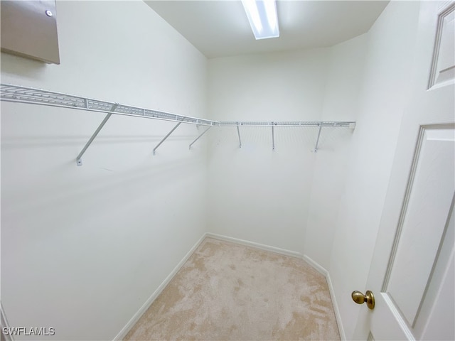 spacious closet with light carpet