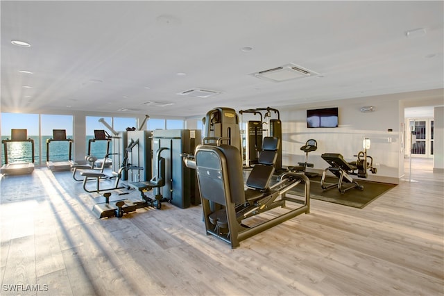 exercise room featuring floor to ceiling windows and hardwood / wood-style flooring